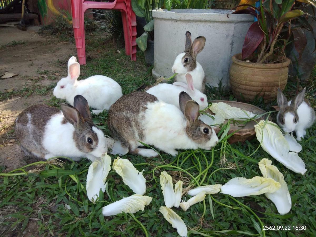 Baan Suan Jantra Home Stay Chiang Rai Exterior photo