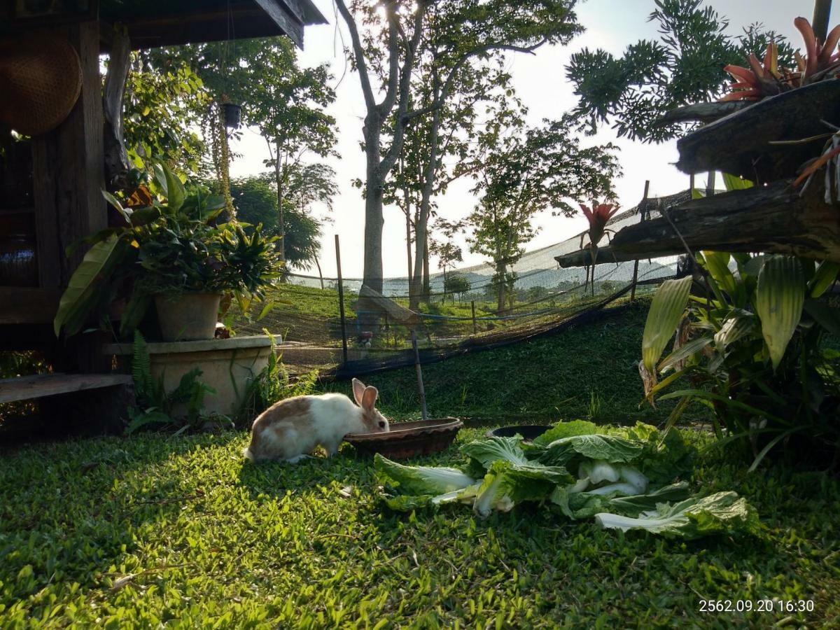 Baan Suan Jantra Home Stay Chiang Rai Exterior photo